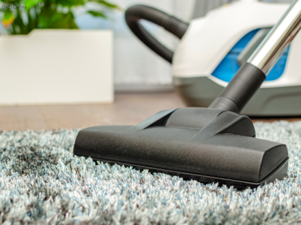 Beitrag Staubsauger: Akku oder Kabel?
