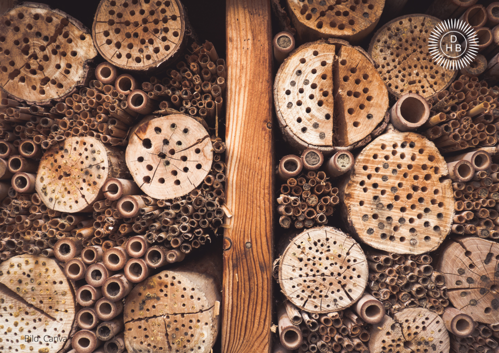 Veranstaltung Wildbienenhotel bauen